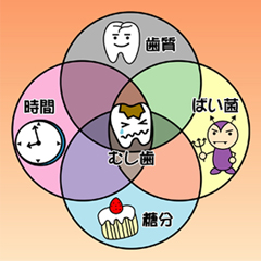 虫歯の原因
